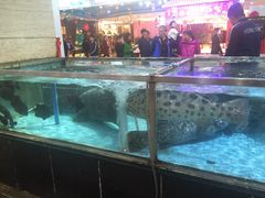 -渔民新村(番禺总店)