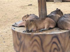 -茅山东方盐湖城景区