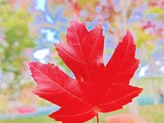 -九鼎铁刹山风景区