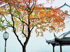-老门东历史文化街区