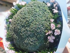 -弗劳尔花艺坊(龙涛店)