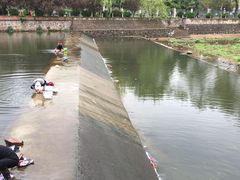 -金孔雀温泉旅游度假村