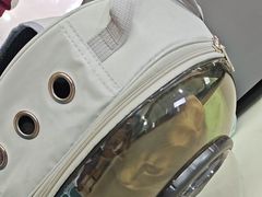 -天宠宠物医院24小时·急重症诊疗中心·全科·腔镜特色(和平分院)