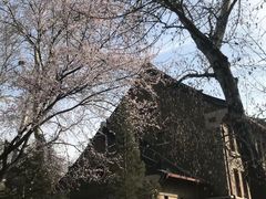 -山东大学(趵突泉校区)