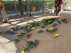 -珠海海泉湾神秘岛亲子乐园