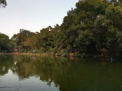 -人民公园(罗湖区)