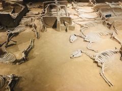 -洛阳周王城天子驾六博物馆