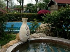 -金孔雀温泉旅游度假村