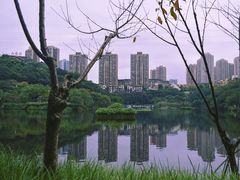 -重庆彩云湖湿地公园