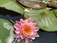 -上海滨江森林公园