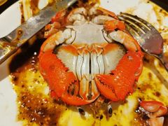 -安蒂娅·海鲜自助餐厅(安蒂娅美兰酒店)