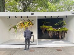 -上海鲜花港