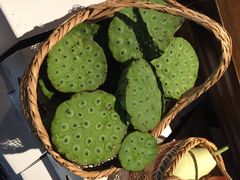 粗茶淡饭•隐庐私厨-粗茶淡饭·隐庐私厨(东亭店)
