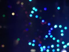 -大连体育中心体育馆