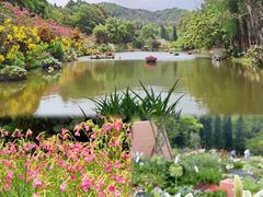 -深圳市中科院仙湖植物园