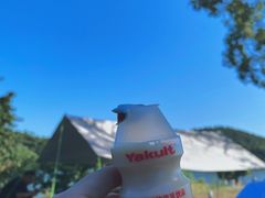 -南京市无想山景区