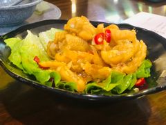 -星光城