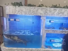 -香山湖渔家大院