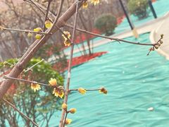 -丰台花园