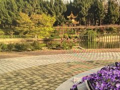 -嘉定紫藤园