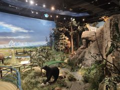 -陕西自然博物馆