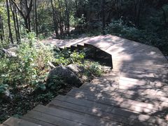 -大岭沟猕猴桃谷风景区