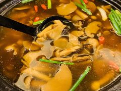 云南野生菌汤-新洪记·丽久饭店(铁西店)
