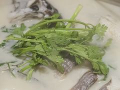 -小团圆灶台鱼·百城头牌菜(千岛湖店)