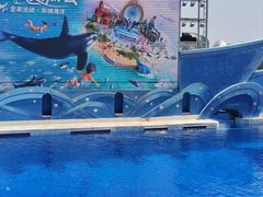 -上海海昌海洋公园