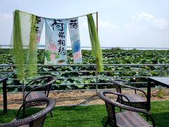 -七的湖·晚芳亭·阳澄湖农家菜·大闸蟹(莲花岛店)