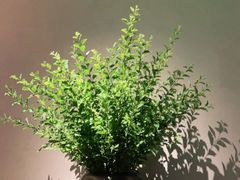 -山里亲戚(淞虹路店)