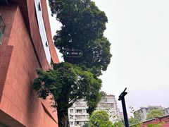 -南越王博物院(王宫展区)