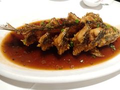 糖醋鱼-金春禧·鲁菜海鲜(延吉路万达店)