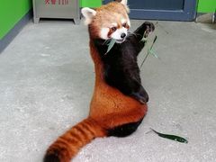 -北京野生动物园