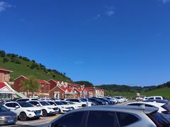 -关山草原