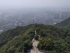 -杭州半山国家森林公园