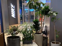 -THE WOODS 简餐 (国贸商城店)