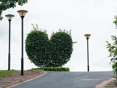-东莞植物园