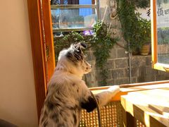 -YLK云南小粒咖啡·云里咖(二号店)