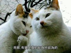 -台山美食一绝阿四台山黄鳝饭(阿四创作店)