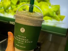 -茉酸奶(春熙路店)