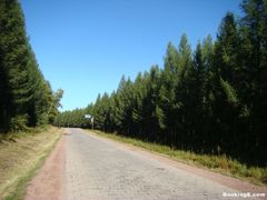 -塞罕坝国家级自然保护区