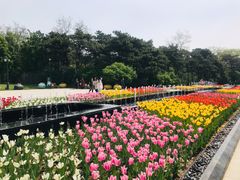 -沈阳植物园