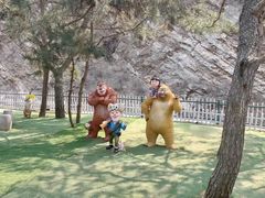 -金龙寺国家森林公园