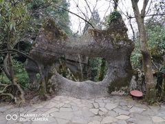 -山王坪喀斯特国家生态公园