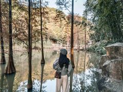 -云溪植物园