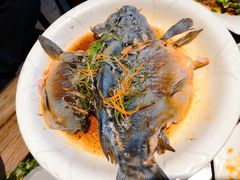 -马帮菜馆·美味野生菌