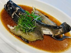 清蒸石斑鱼-箸福·夜上海(月牙湖公园店)