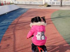 -八爪矩阵极限运动馆·儿童平衡车·感统训练(南海子公园校区)