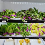 吃货本色，麻辣烫一下